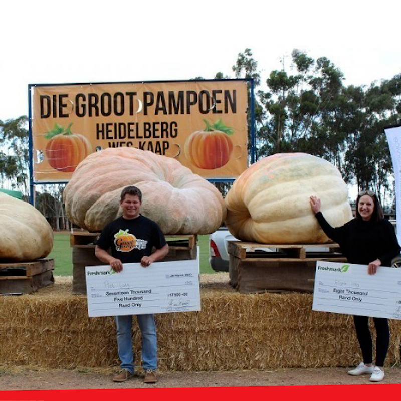 Large Pumpkin Competition 2020